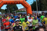 MARATON-00336