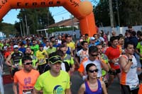 MARATON-00342