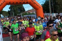 MARATON-00357