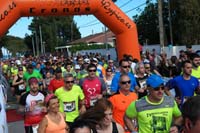 MARATON-00361