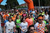 MARATON-00431