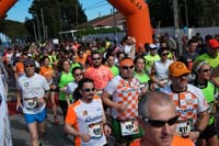 MARATON-00433